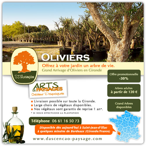 Gironde - Grand Arrivage d'Oliviers.