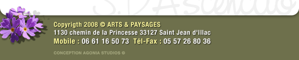 Arts & Paysages, créateur paysagiste en Gironde