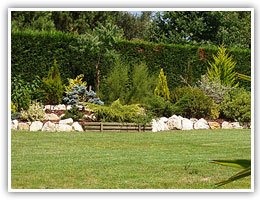 Entretiens de Jardin et pelouses