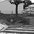 photos/B008.jpg