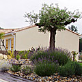 photos/B010.jpg