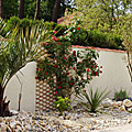 photos/C002.jpg