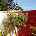 photos/E002.jpg