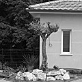 photos/F003.jpg