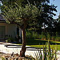 photos/F027.jpg