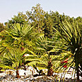photos/G001.jpg