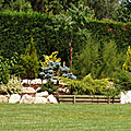 photos/G002.jpg
