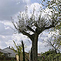 photos/IMG_2737.jpg