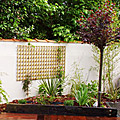 photos/J011.jpg