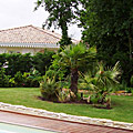 photos/L004.jpg
