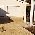 photos/P1010008.jpg