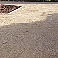 photos/P1010010.jpg
