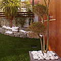 photos/P1010017-2.jpg