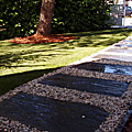 photos/P1010050.jpg