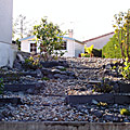 photos/P1010078.jpg
