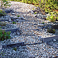 photos/P1010085.jpg