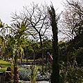 photos/P4070034.jpg