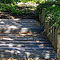 photos/schiste_05.jpg