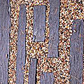 photos/schiste_06.jpg